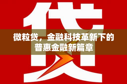 得荣微粒贷，金融科技革新下的普惠金融新篇章