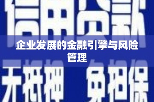 得荣企业发展的金融引擎与风险管理