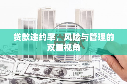 得荣贷款违约率，风险与管理的双重视角