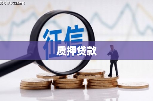得荣质押贷款