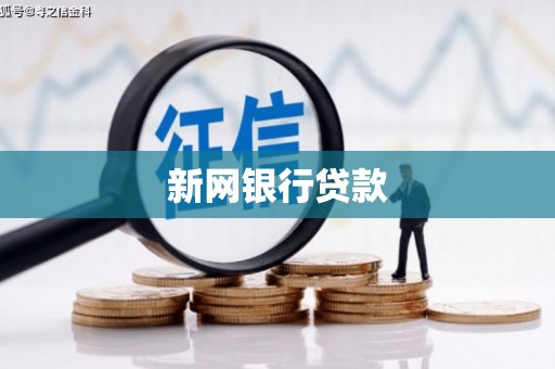 得荣新网银行贷款