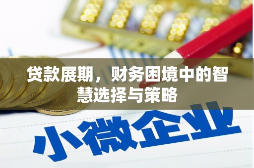 得荣贷款展期，财务困境中的智慧选择与策略