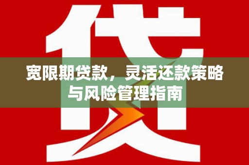 得荣宽限期贷款，灵活还款策略与风险管理指南