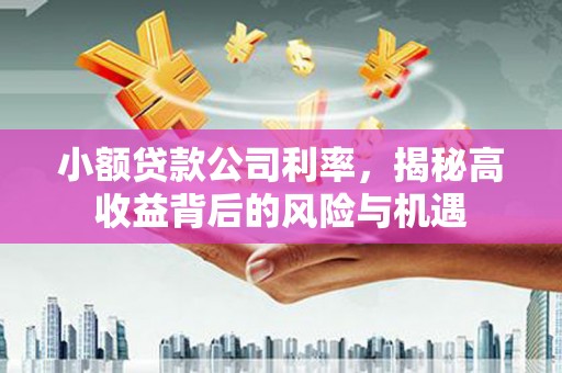 得荣小额贷款公司利率，揭秘高收益背后的风险与机遇