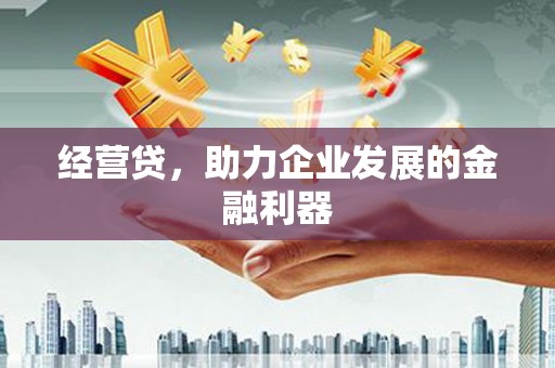得荣经营贷，助力企业发展的金融利器