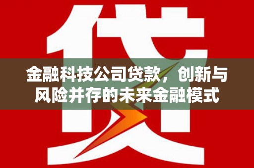 得荣金融科技公司贷款，创新与风险并存的未来金融模式
