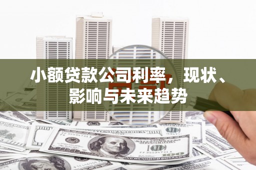 得荣小额贷款公司利率，现状、影响与未来趋势