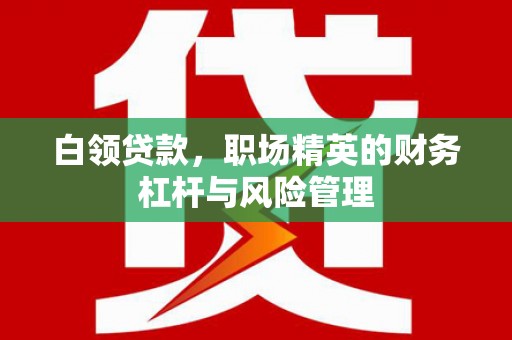 得荣白领贷款，职场精英的财务杠杆与风险管理