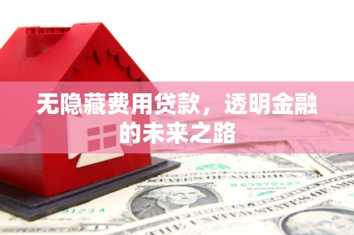 得荣无隐藏费用贷款，透明金融的未来之路