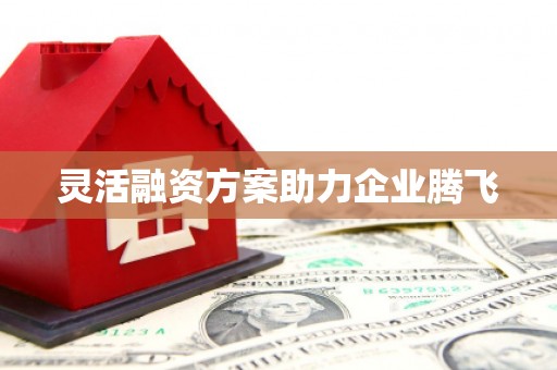 得荣灵活融资方案助力企业腾飞