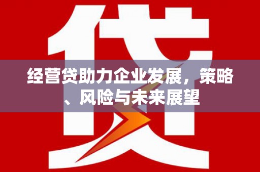 得荣经营贷助力企业发展，策略、风险与未来展望