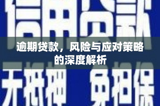 得荣逾期贷款，风险与应对策略的深度解析