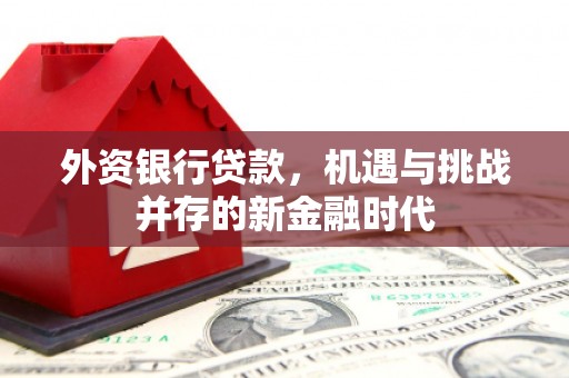 得荣外资银行贷款，机遇与挑战并存的新金融时代