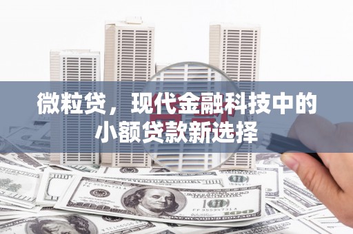 得荣微粒贷，现代金融科技中的小额贷款新选择