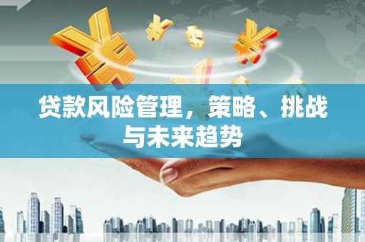 得荣贷款风险管理，策略、挑战与未来趋势