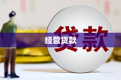 得荣经营贷款