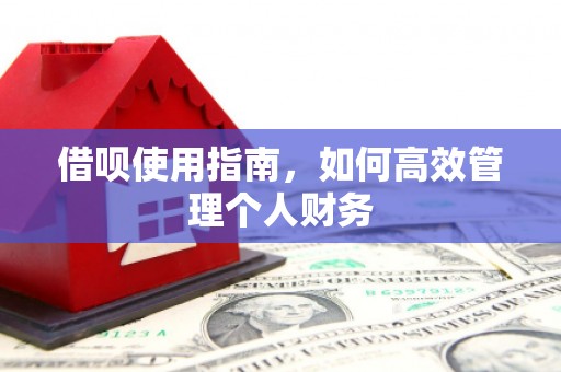 得荣借呗使用指南，如何高效管理个人财务