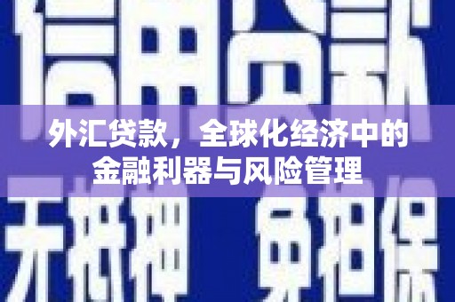 得荣外汇贷款，全球化经济中的金融利器与风险管理