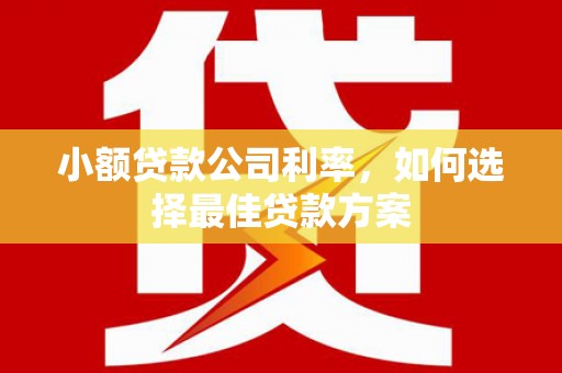 得荣小额贷款公司利率，如何选择最佳贷款方案