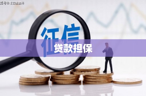 得荣贷款担保