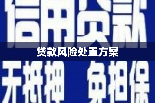 得荣贷款风险处置方案