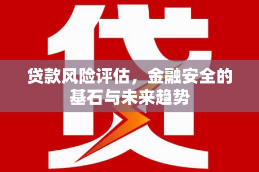 得荣贷款风险评估，金融安全的基石与未来趋势