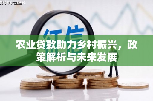 得荣农业贷款助力乡村振兴，政策解析与未来发展