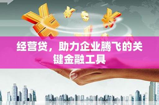 得荣经营贷，助力企业腾飞的关键金融工具