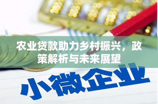 得荣农业贷款助力乡村振兴，政策解析与未来展望