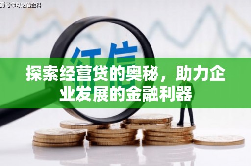 得荣探索经营贷的奥秘，助力企业发展的金融利器