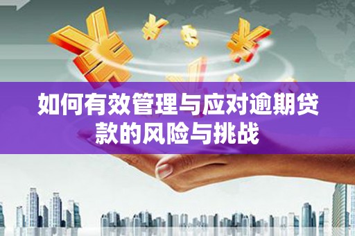 得荣如何有效管理与应对逾期贷款的风险与挑战