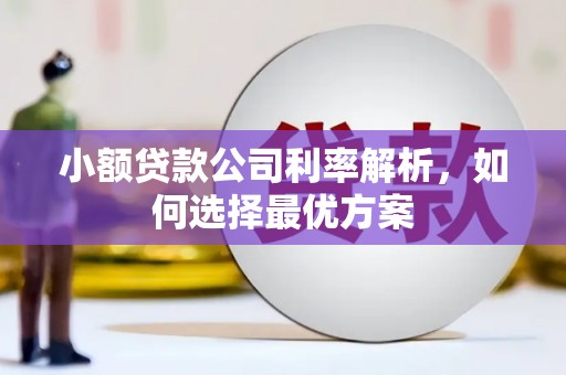 得荣小额贷款公司利率解析，如何选择最优方案