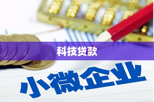 得荣科技贷款