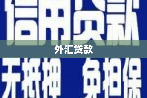 得荣外汇贷款