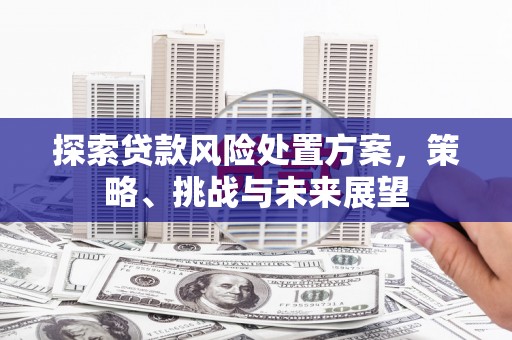 得荣探索贷款风险处置方案，策略、挑战与未来展望