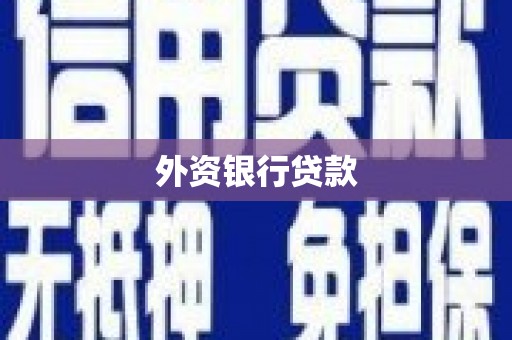 得荣外资银行贷款