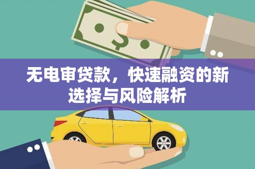 得荣无电审贷款，快速融资的新选择与风险解析