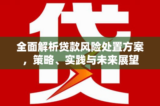 得荣全面解析贷款风险处置方案，策略、实践与未来展望