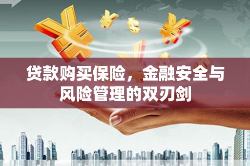 得荣贷款购买保险，金融安全与风险管理的双刃剑