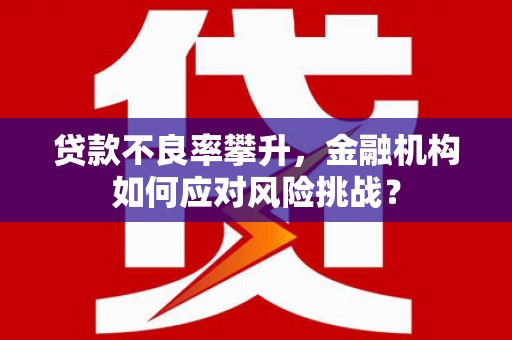 得荣贷款不良率攀升，金融机构如何应对风险挑战？