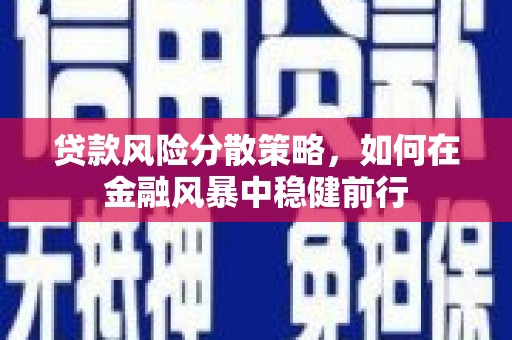 得荣贷款风险分散策略，如何在金融风暴中稳健前行