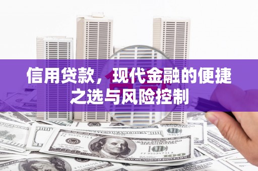 得荣信用贷款，现代金融的便捷之选与风险控制
