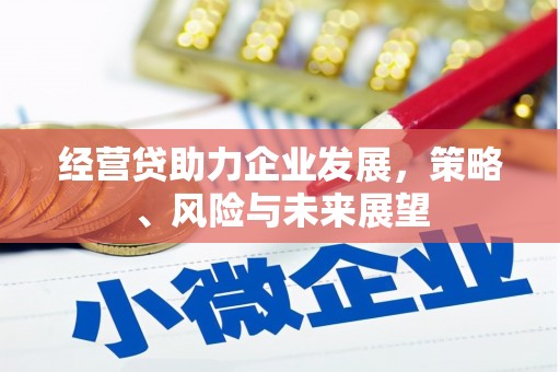 得荣经营贷助力企业发展，策略、风险与未来展望
