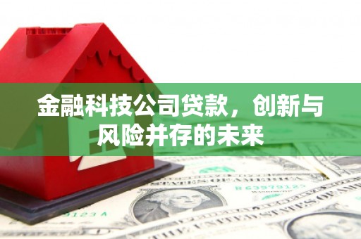得荣金融科技公司贷款，创新与风险并存的未来