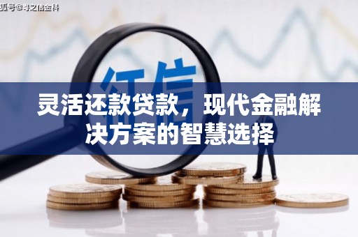 得荣灵活还款贷款，现代金融解决方案的智慧选择