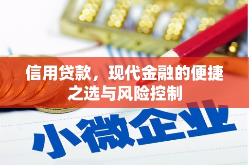 得荣信用贷款，现代金融的便捷之选与风险控制