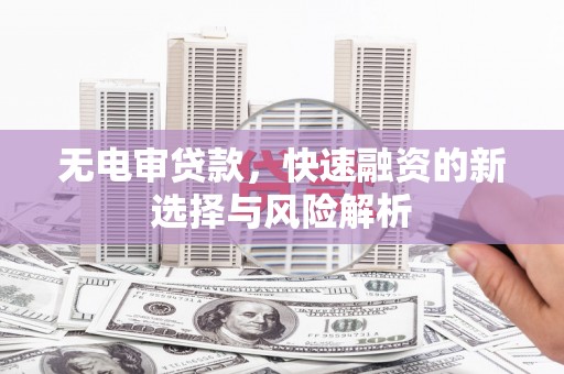 得荣无电审贷款，快速融资的新选择与风险解析