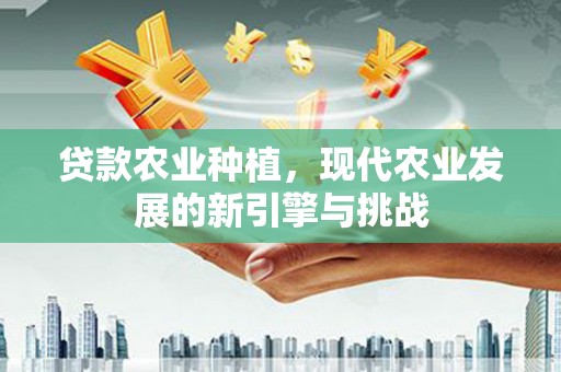 得荣贷款农业种植，现代农业发展的新引擎与挑战