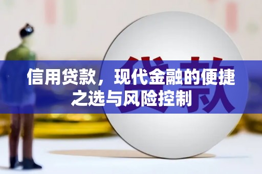 得荣信用贷款，现代金融的便捷之选与风险控制