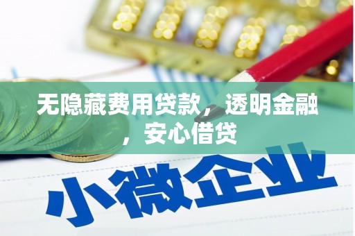 得荣无隐藏费用贷款，透明金融，安心借贷